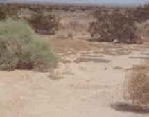 3C66F960-E0A1-4C54-81E2-8D6A28895B19.gif