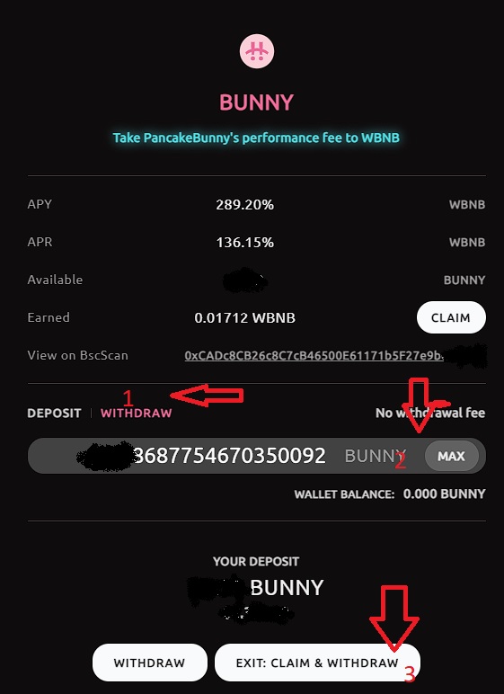 bunny.jpg