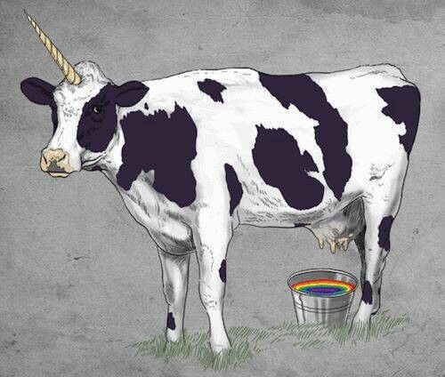 cowuni.jpg