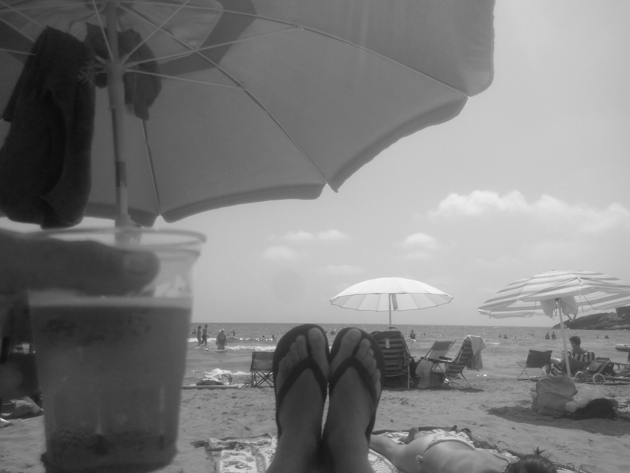 P80809-145052-001.jpg