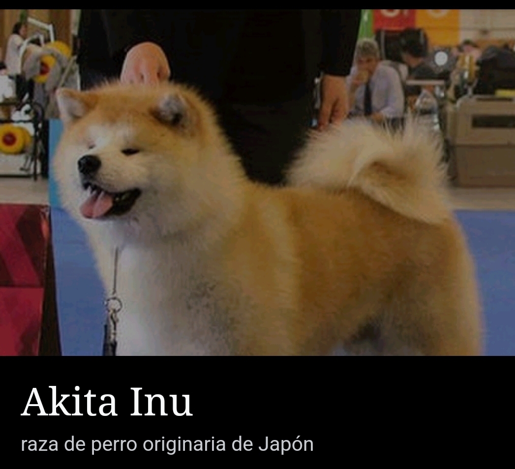 Screenshot_20221128-235248_Wikipedia.jpg