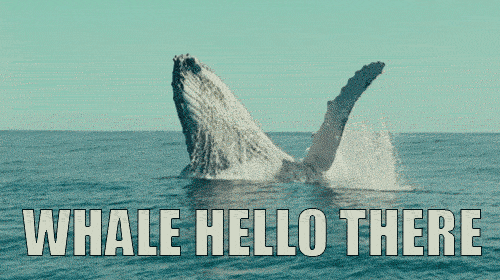 Whale.gif