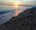 forocoin_copy_1753x1440.jpg