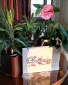 IMG_20201112_220806.jpg